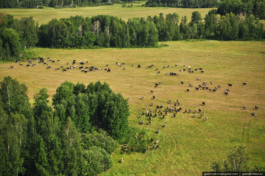 Новосибирская область с высоты птичьего полета