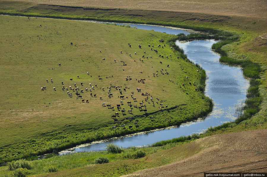 Новосибирская область с высоты птичьего полета