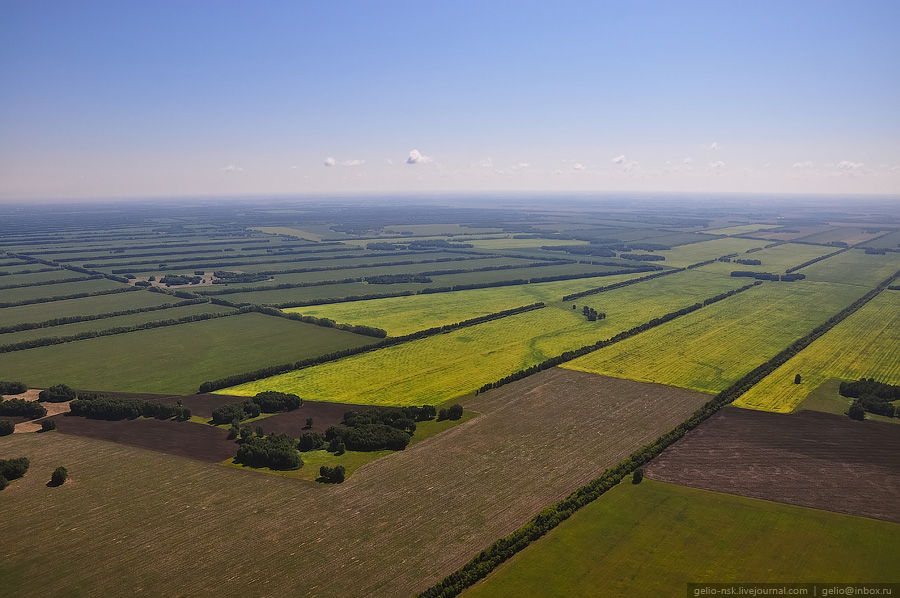 Новосибирская область с высоты птичьего полета