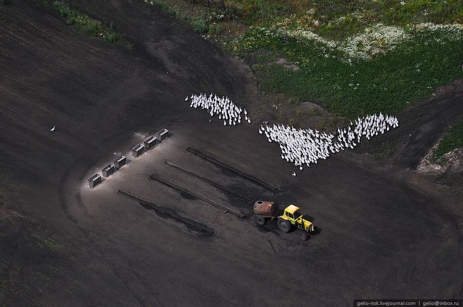 Новосибирская область с высоты птичьего полета