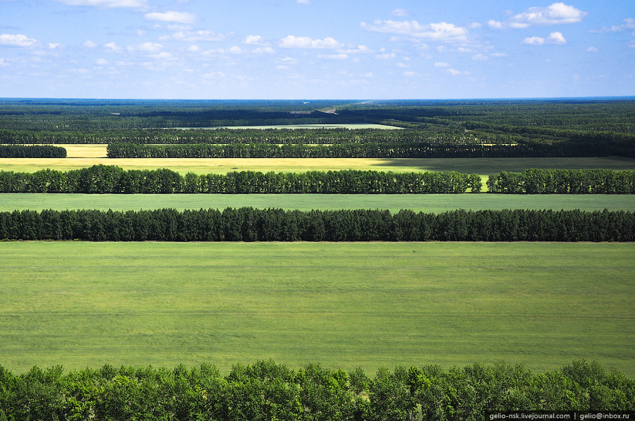 Новосибирская область с высоты птичьего полета
