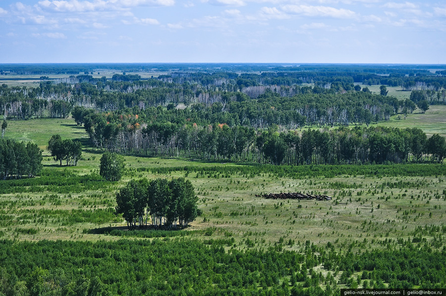 Новосибирская область с высоты птичьего полета