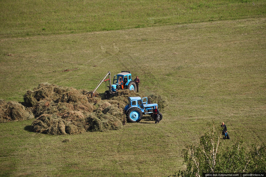 Новосибирская область с высоты птичьего полета