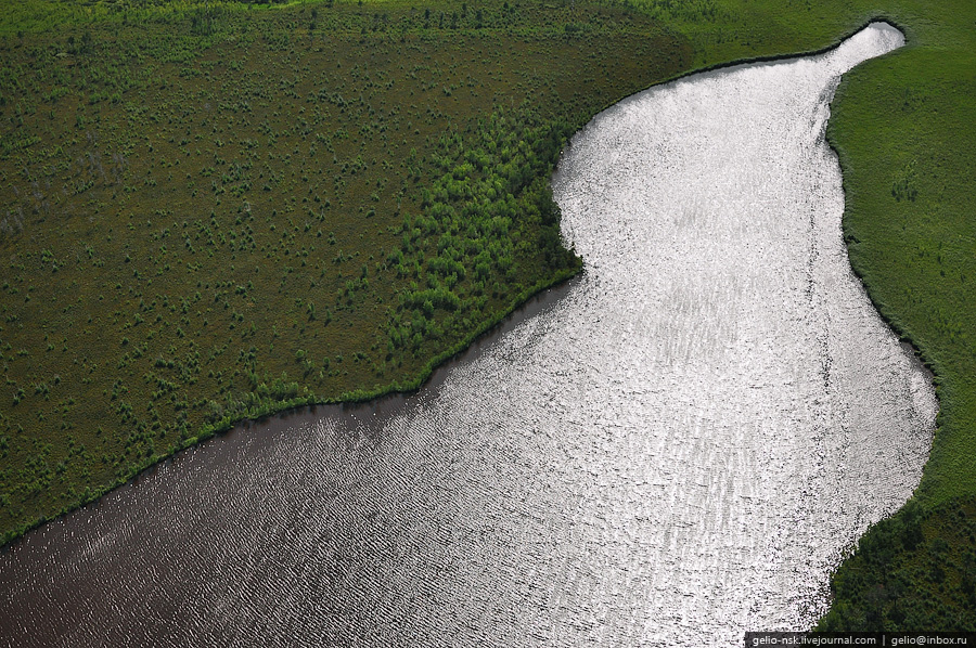 Новосибирская область с высоты птичьего полета