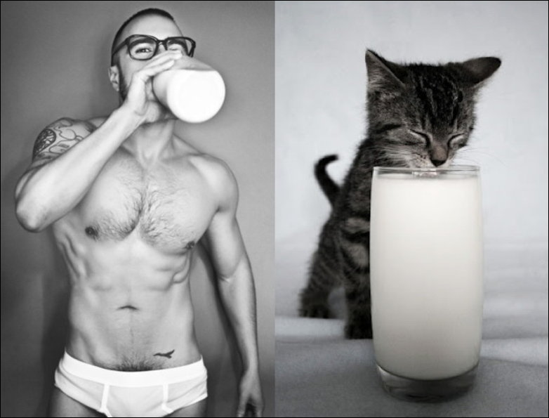 Коты и мужчины