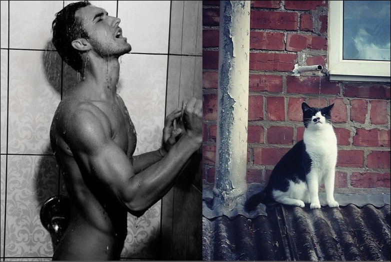 Коты и мужчины