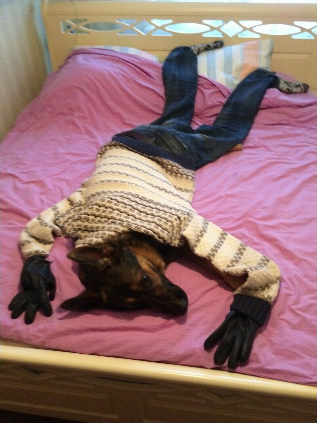 фотоприколы фотоприколы