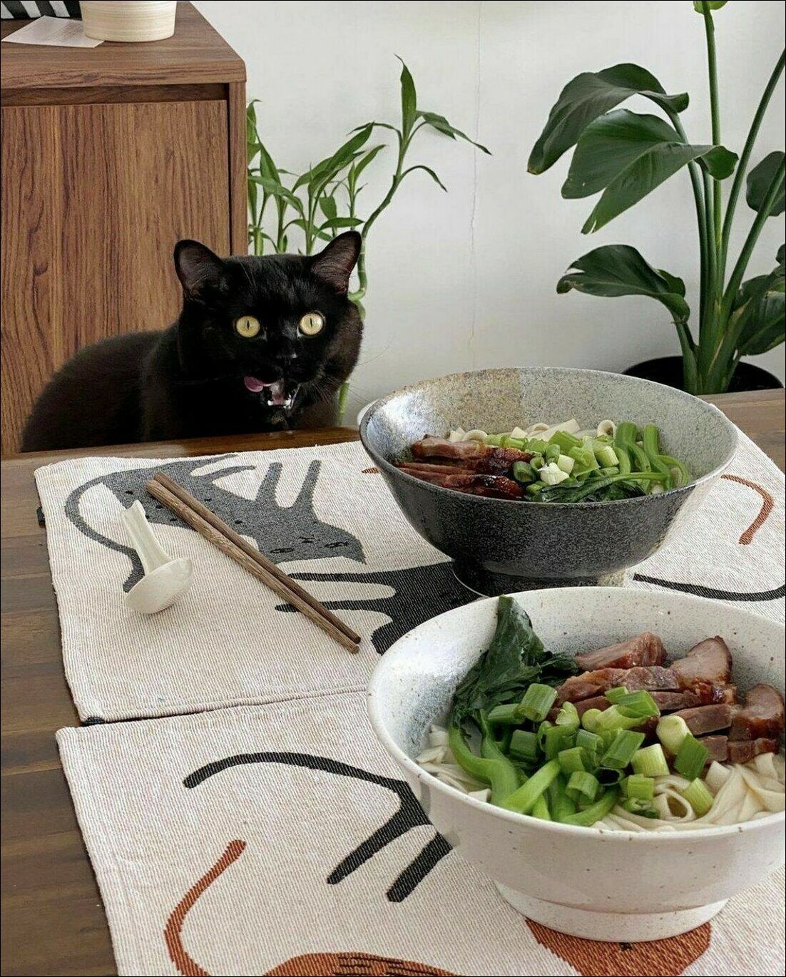 фотоприколы фотоприколы