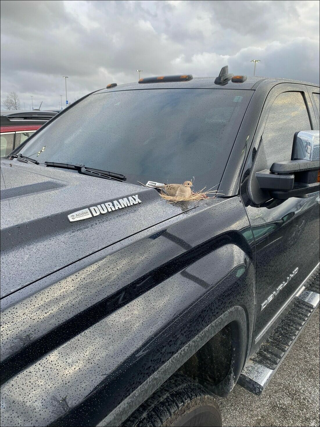 фотоприколы фотоприколы