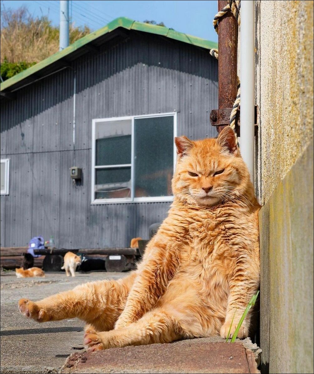 фотоприколы фотоприколы