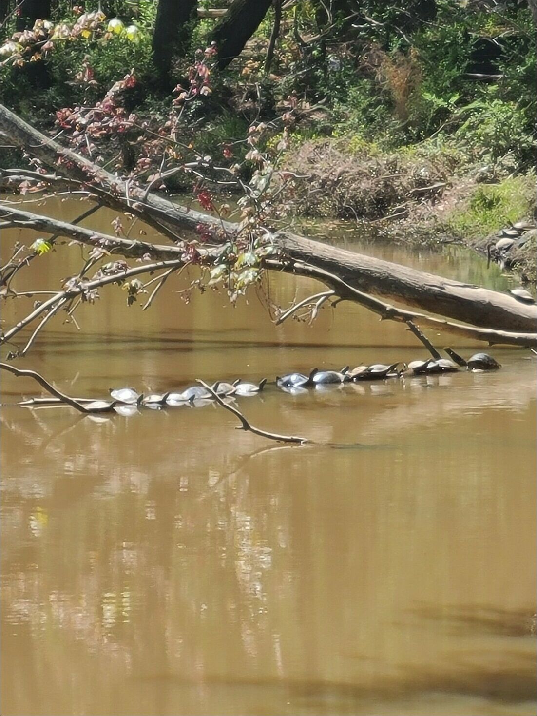 фотоприколы фотоприколы