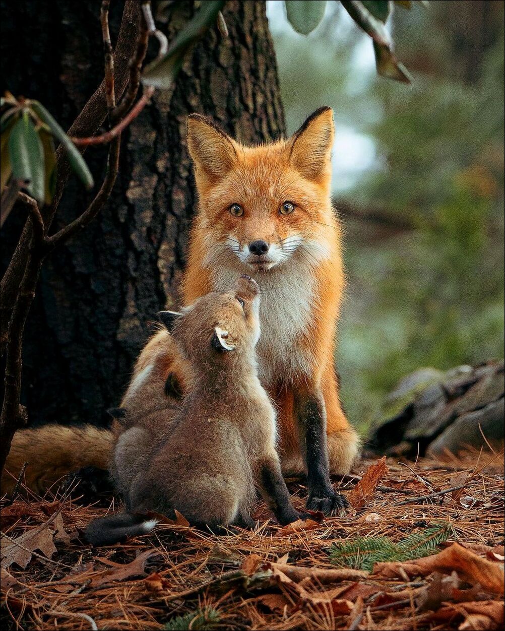 фотоприколы фотоприколы