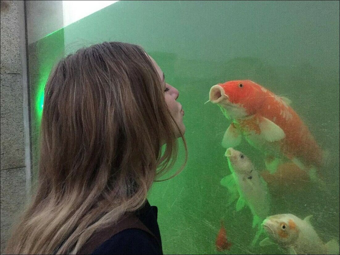 фотоприколы фотоприколы