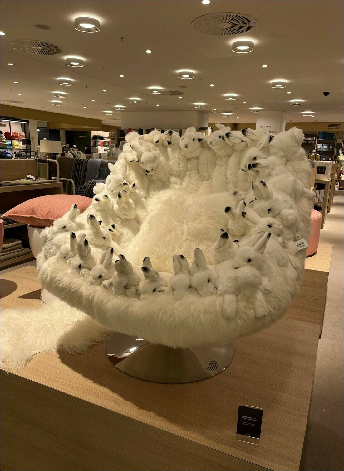 фотоприколы фотоприколы