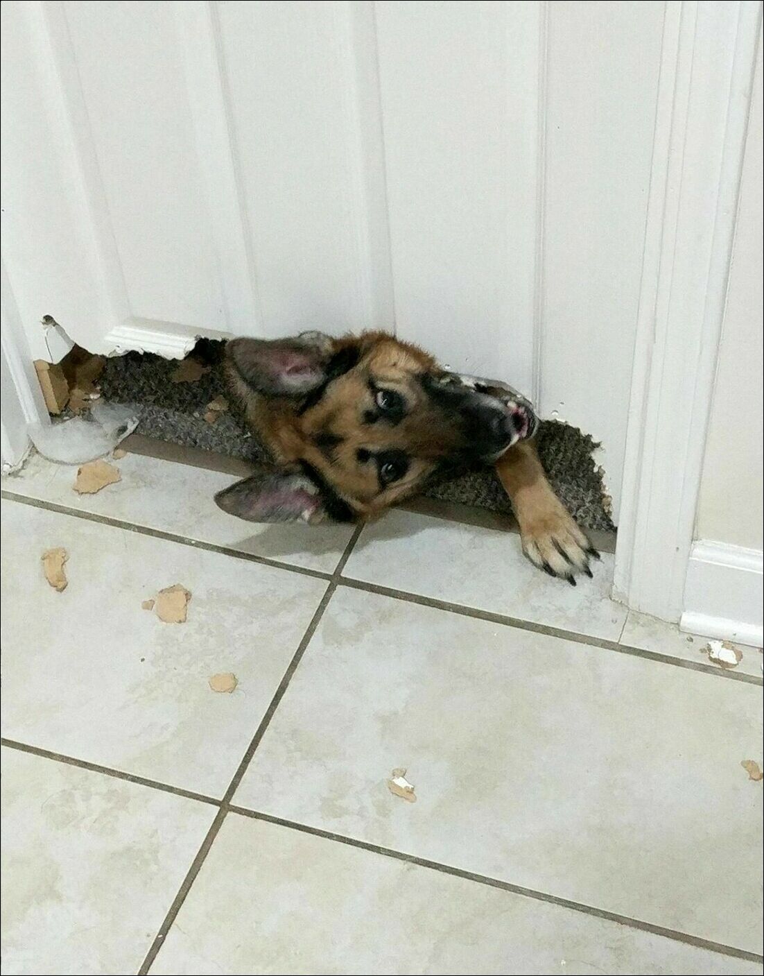 фотоприколы фотоприколы