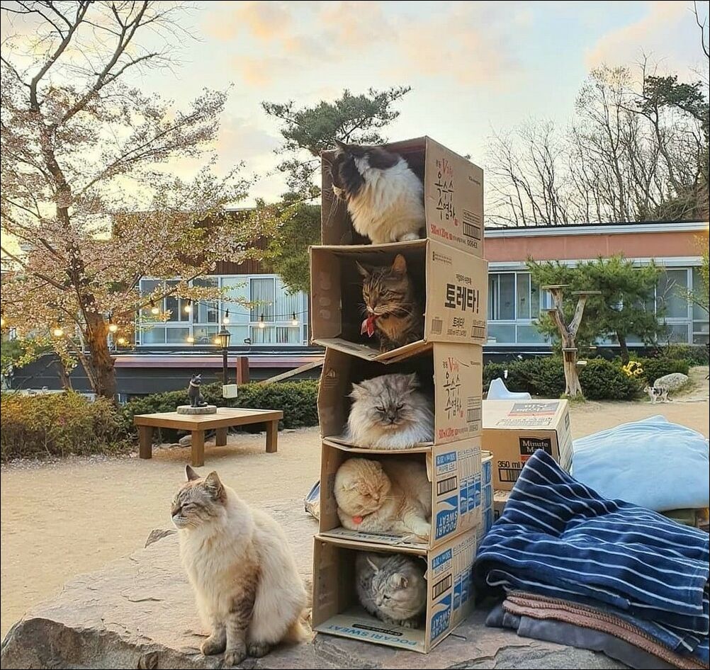 фотоприколы фотоприколы