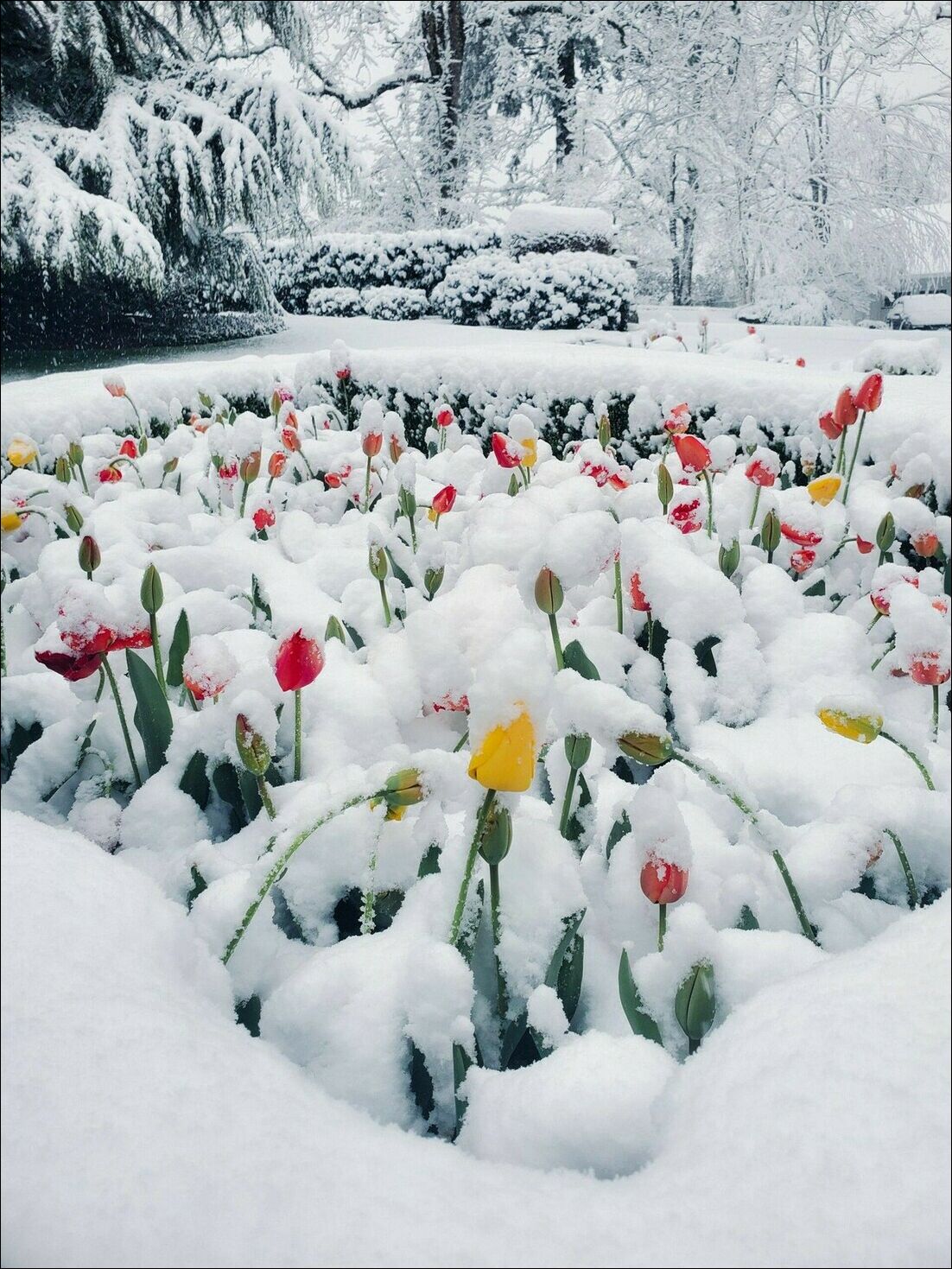 фотоприколы фотоприколы