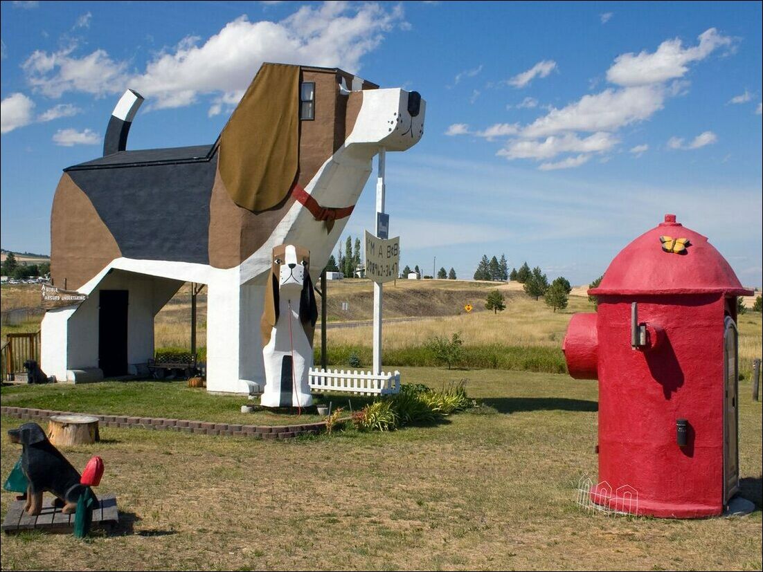 фотоприколы фотоприколы