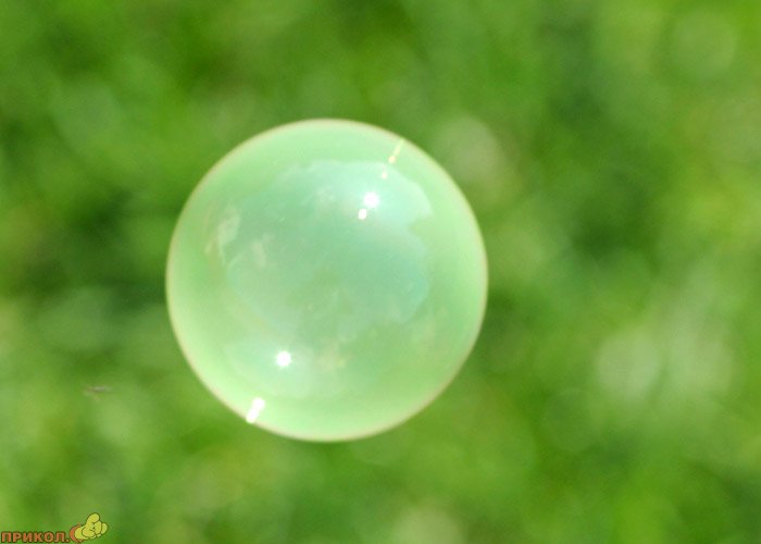 цветные мыльные пузыри zubbles-04