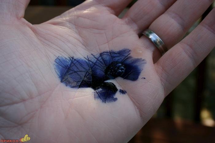 цветные мыльные пузыри zubbles-06