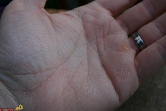 цветные мыльные пузыри zubbles-07