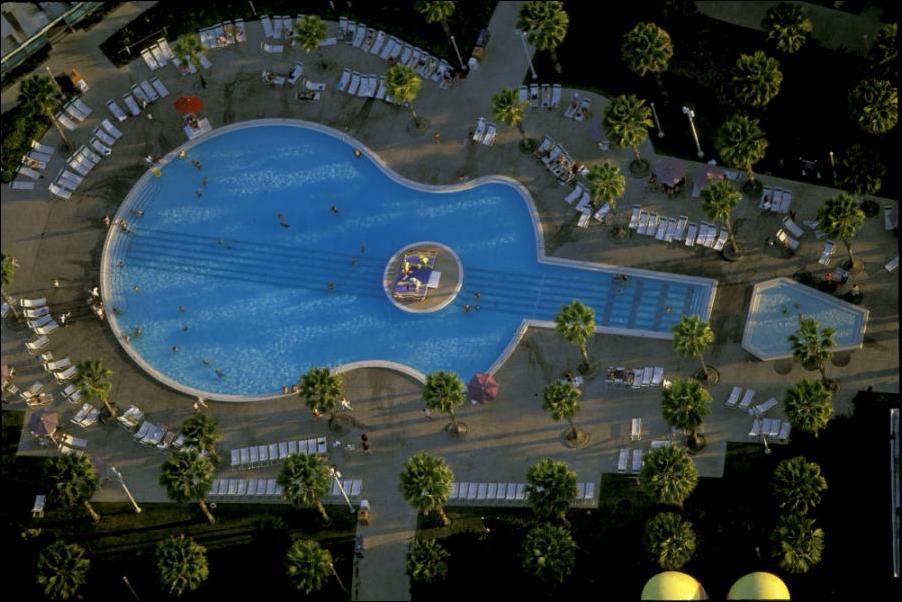 бассейны в форме гитары