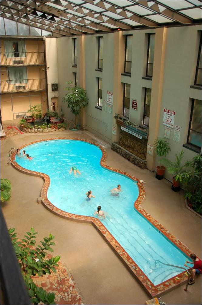 бассейны в форме гитары