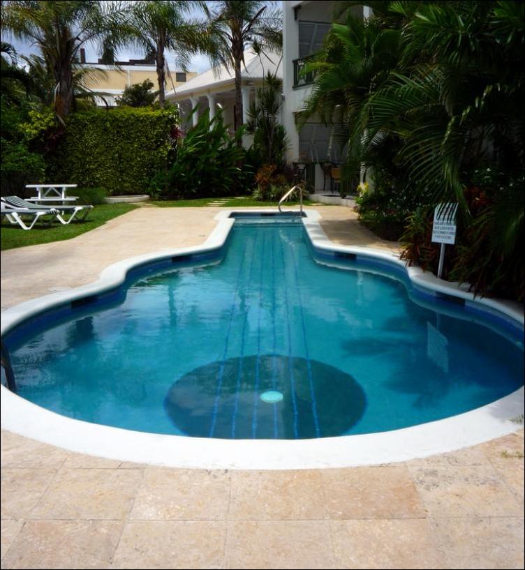 бассейны в форме гитары