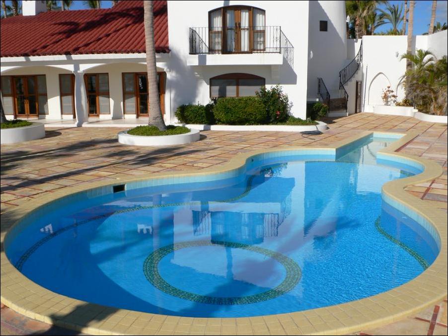 бассейны в форме гитары