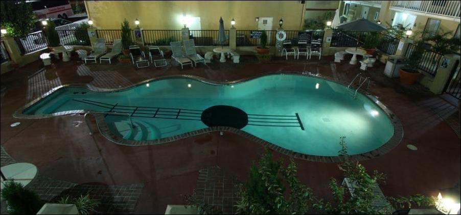 бассейны в форме гитары