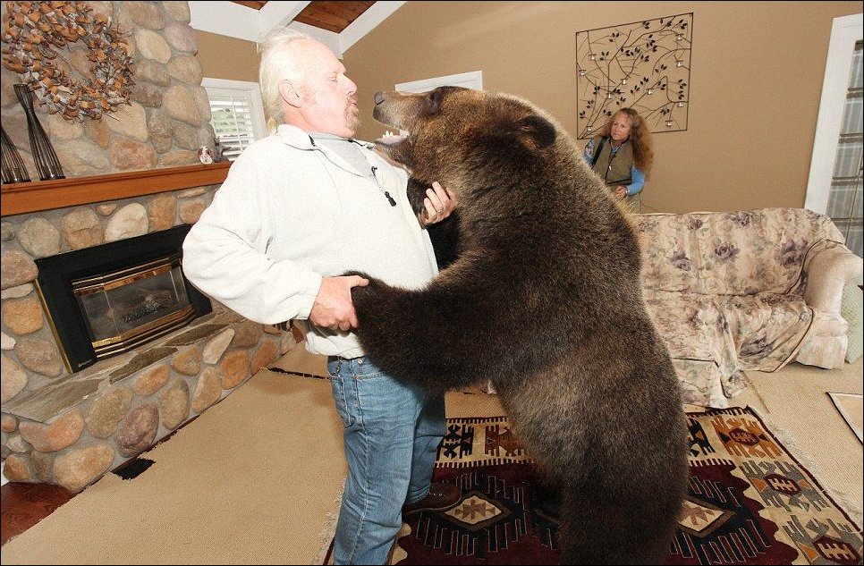 Семья из Ванкувера держит у себя дома медвежонка