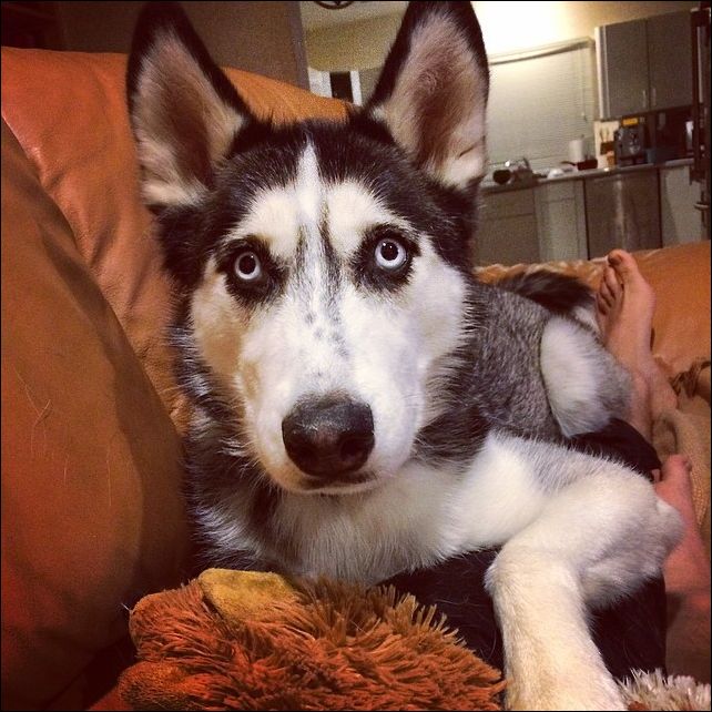 Доктор Майк Доктор Майк