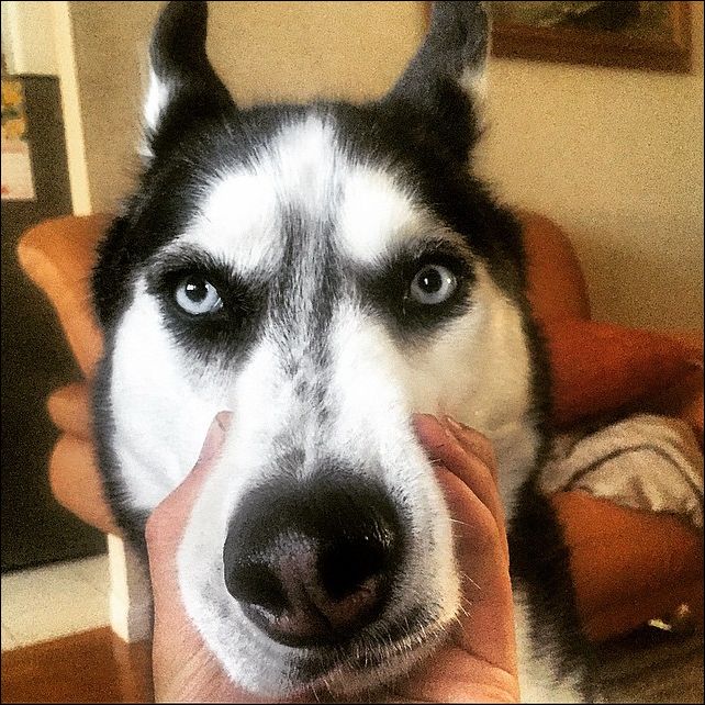 Доктор Майк Доктор Майк