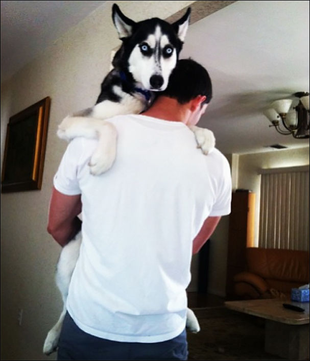 Доктор Майк Доктор Майк