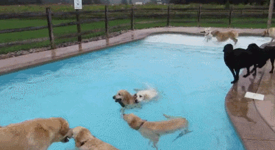 Прикольные гифки Прикольные гифки