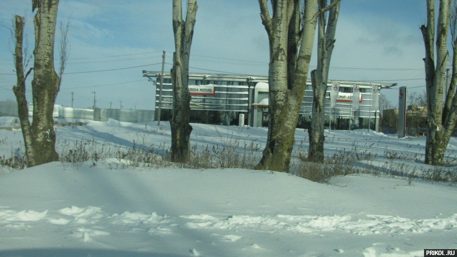 Снежная буря на Украине. Дорога из Херсона в Вознесенск herson-voznesensk-21