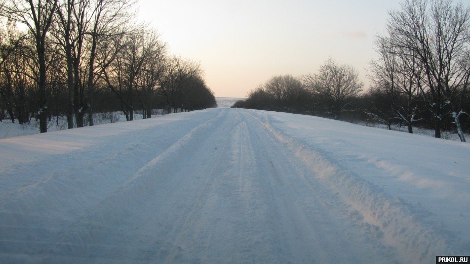 Снежная буря на Украине. Дорога из Херсона в Вознесенск herson-voznesensk-91