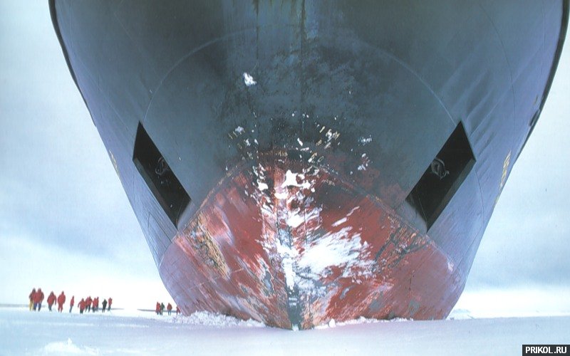 подборка фотографий podborka-31122009-03