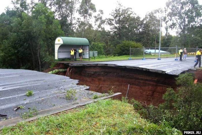 подборка фотографий podborka-31122009-11