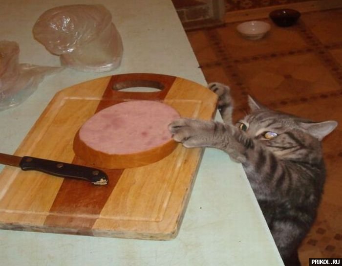 подборка фотографий podborka-31122009-22