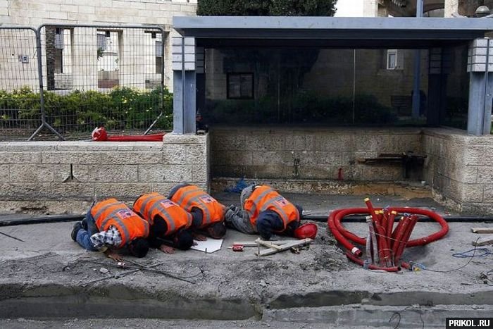 подборка фотографий podborka-31122009-26