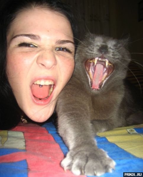 подборка фотографий podborka-31122009-27