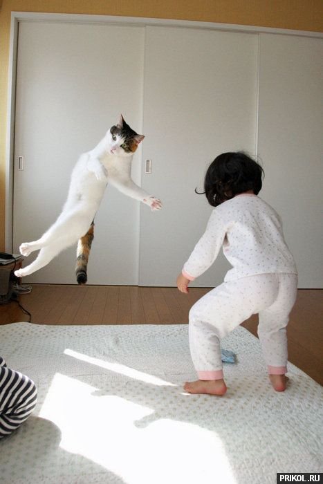 подборка фотографий podborka-31122009-33