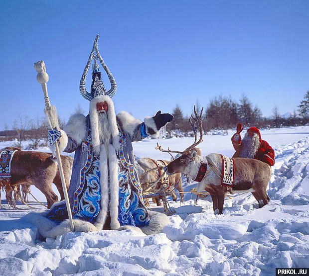 подборка фотографий podborka-31122009-34