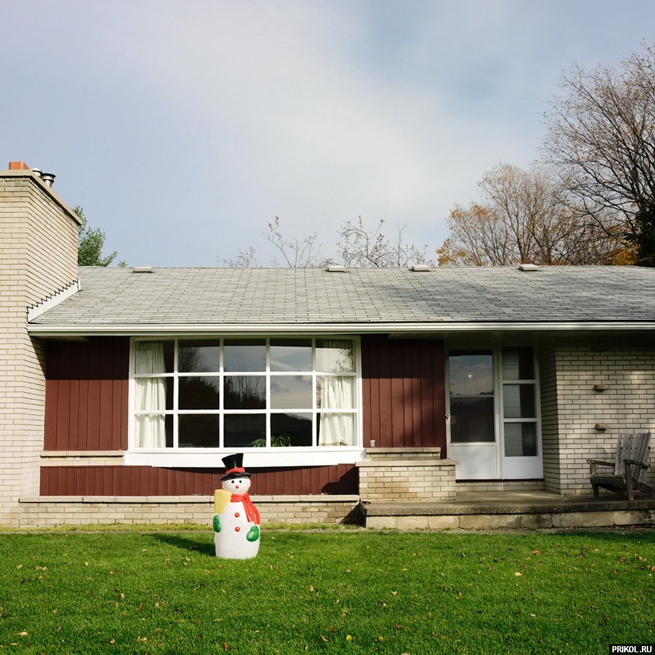 подборка фотографий podborka-31122009-35