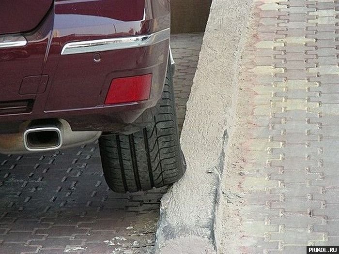 подборка фотографий podborka-31122009-46