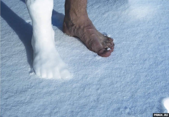 подборка фотографий podborka-31122009-55