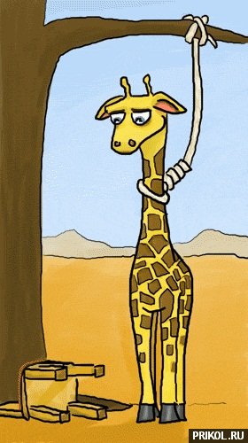 подборка фотографий podborka-31122009-56