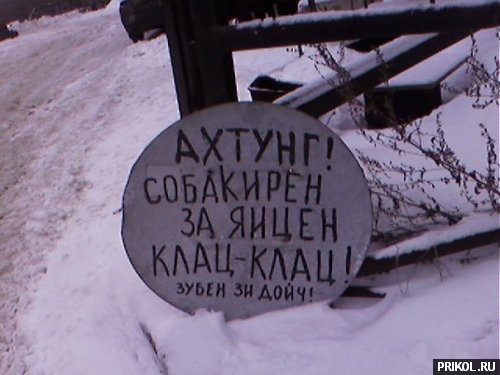 подборка фотографий podborka-31122009-59