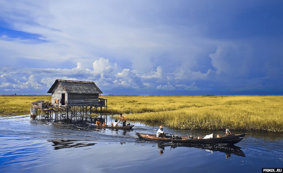 подборка фотографий podborka-31122009-62